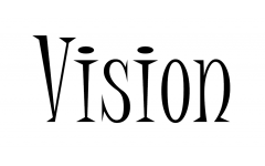 Vision