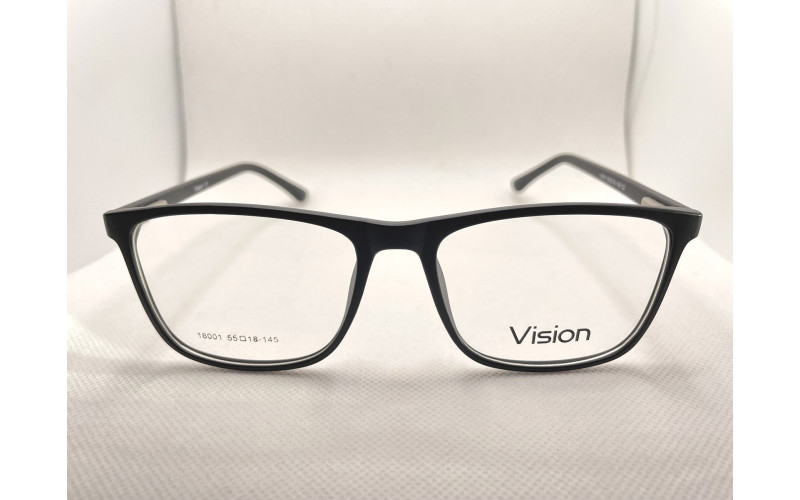 Vision 18001 (C2)