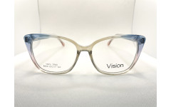 Vision 8809 (C6)