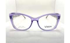 Vision 8818 (C3)